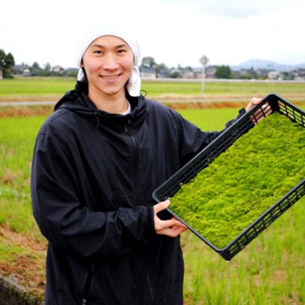 日本三大「苔の森」奥入瀬渓流に行ってきました - 苔との生活をもっと